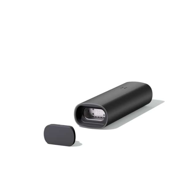 pax3