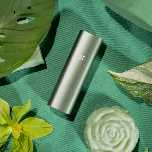 pax 3